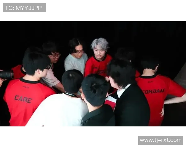 FPX在职业联赛中的耐力表现分析与未来展望